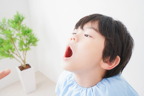 顎の大きさと歯並び