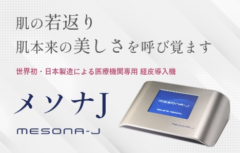 メソナJ